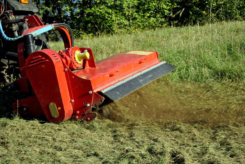 Expert Land Clearing